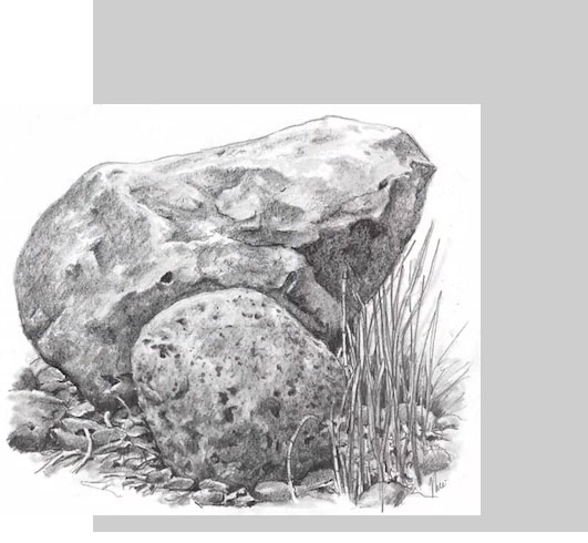 LANDSCAPE DRAWING 6